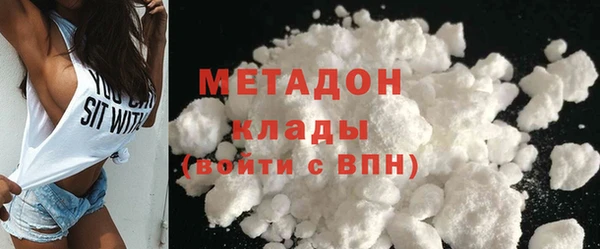 стаф Алзамай