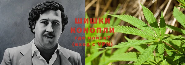spice Алексин