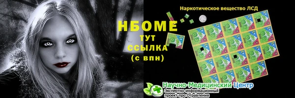 стаф Алзамай