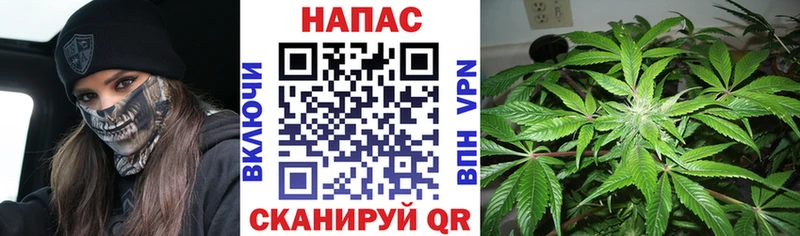 MEGA как войти  где продают наркотики  Анадырь  Бошки Шишки Ganja 